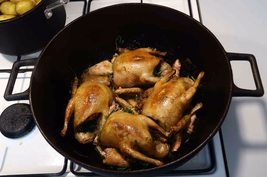 Hvor kan man købe duer til at spise?