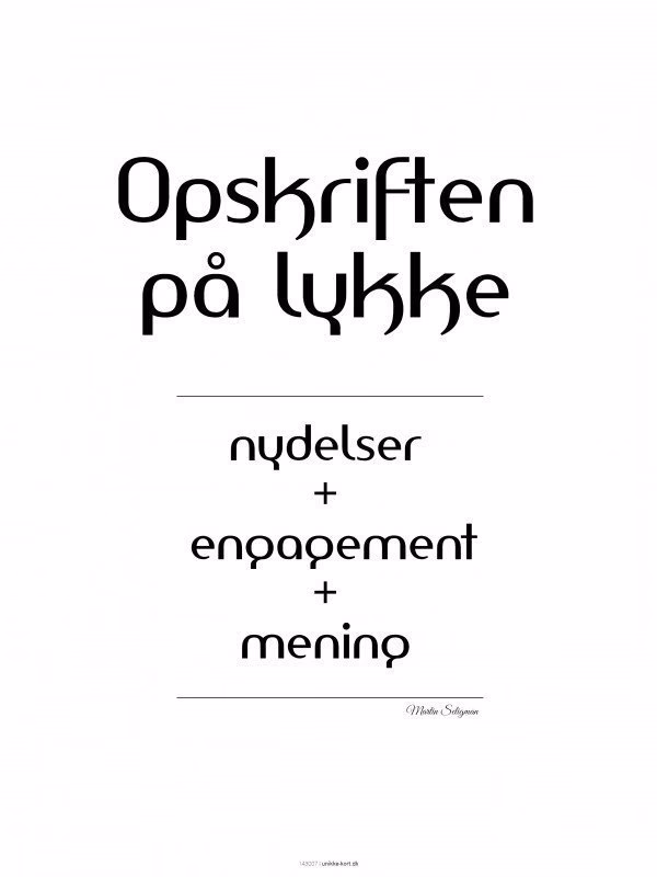 Hvad gør mennesker mest lykkelige?