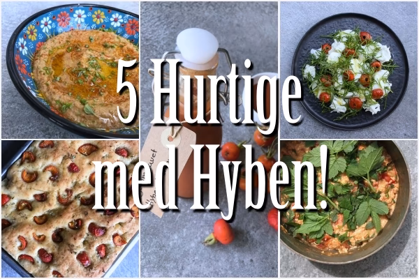 Hvad kan man lave med hyben?
