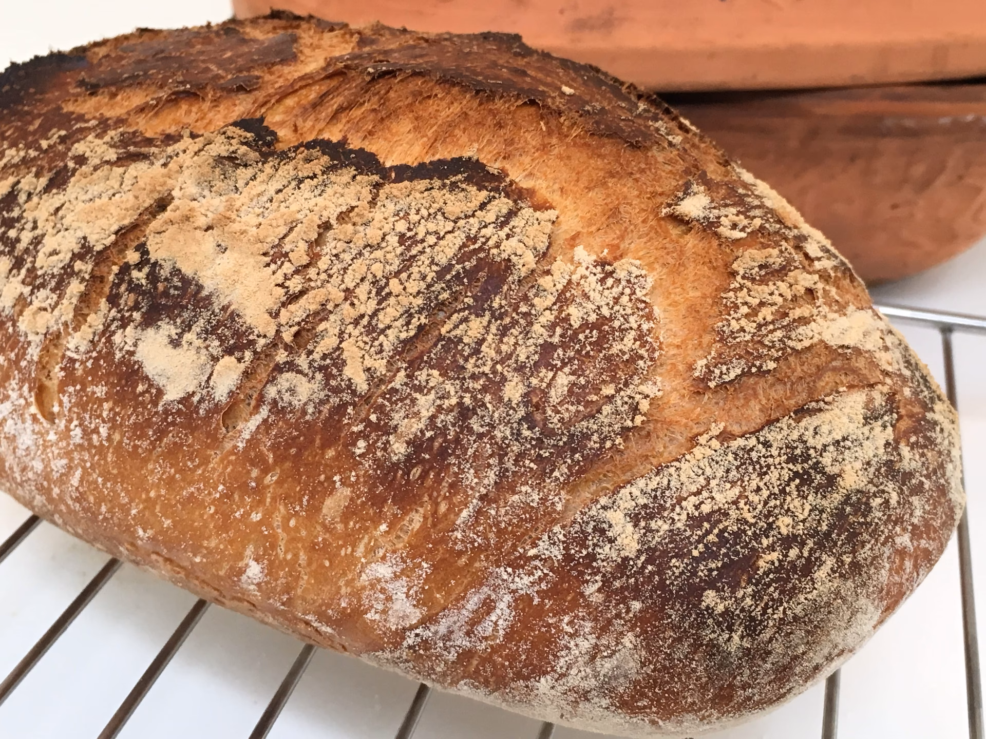 Kan man bruge bageenzym i stedet for gær?