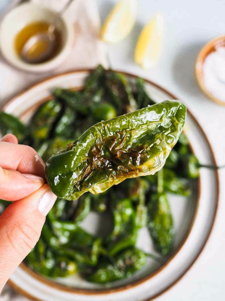 Hvad kan man lave med Padrón peber?