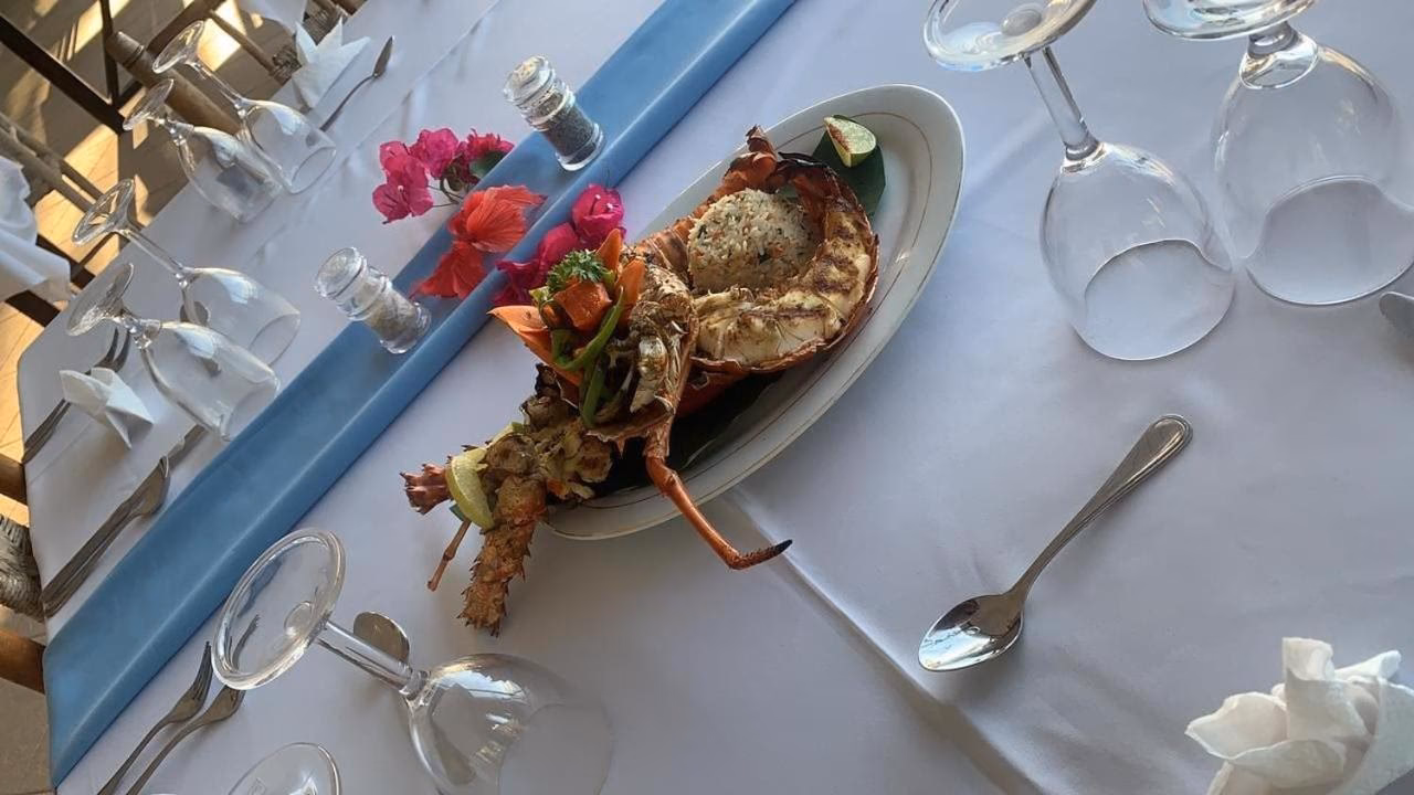 Er Kim fra Paradise transkønnet?