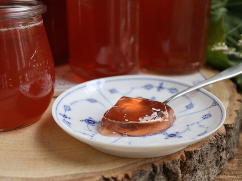 Hvordan skal rabarber opbevares?