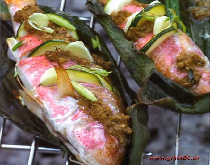 Hvad er snapper på dansk?