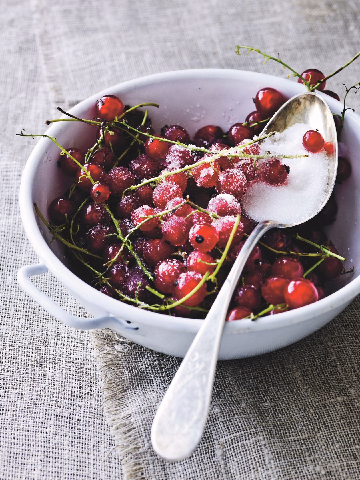 Hvorfor hedder det rysteribs?