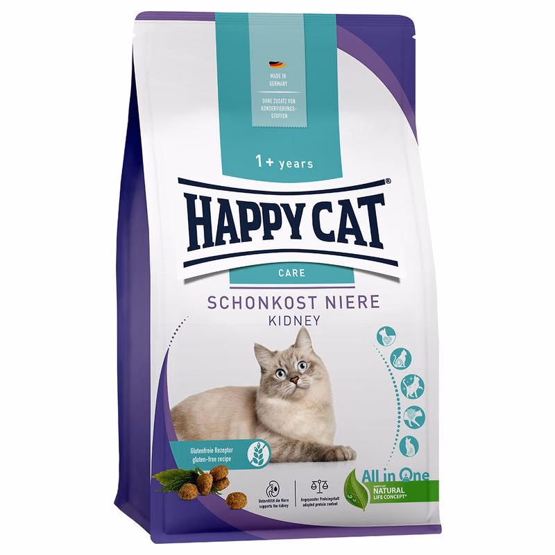 Hvilket menneskemad kan katte tåle?