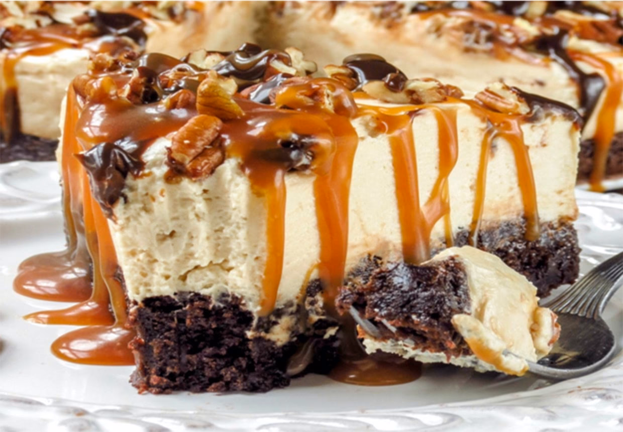 Er der rom i skildpadder?