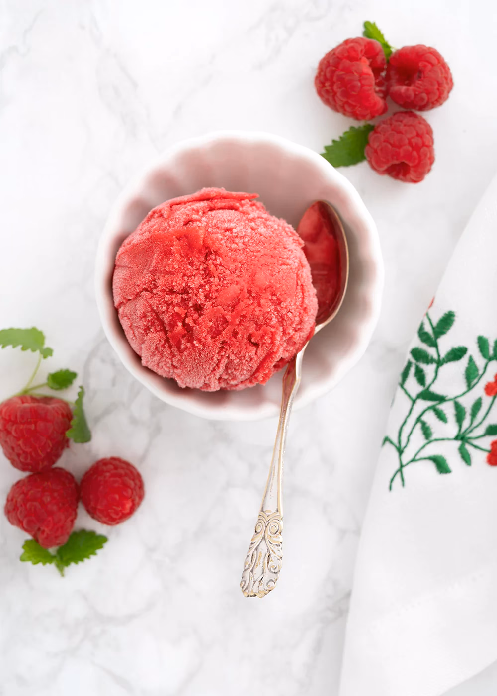 Kan man selv lave sorbet?