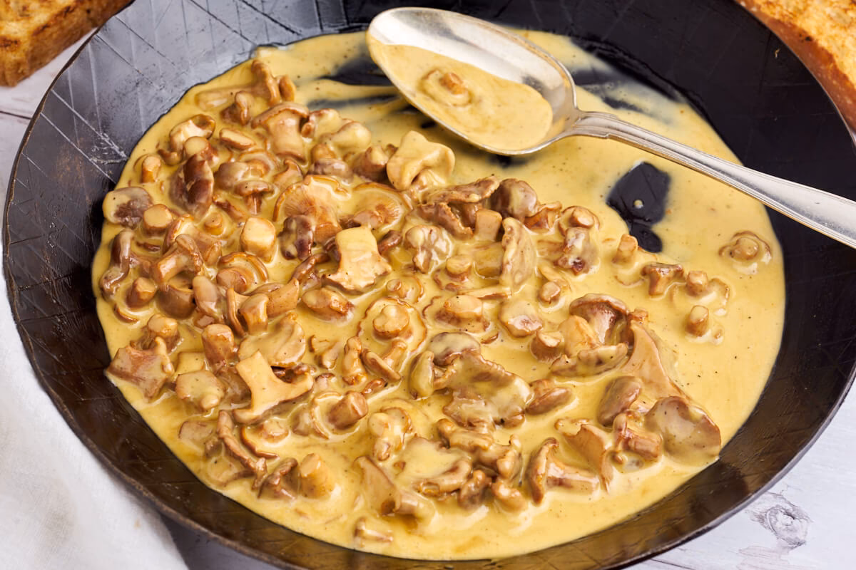 Hvordan bruger man tørrede kantareller?