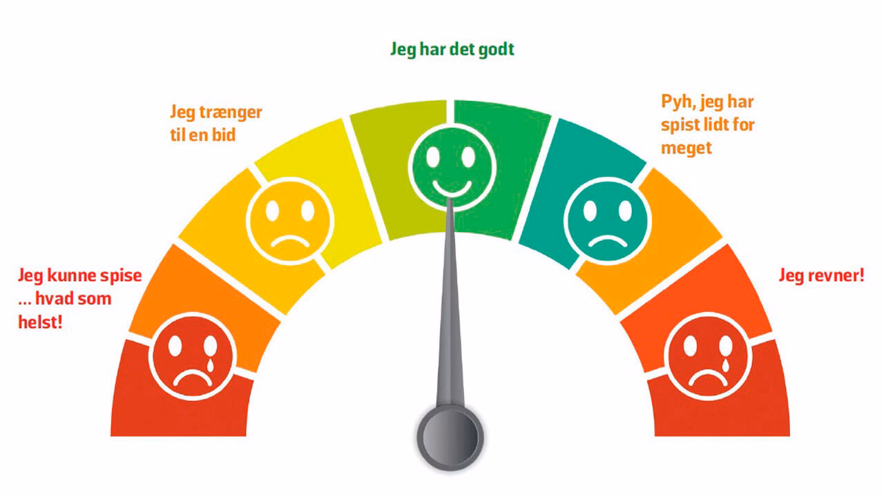 Hvad kan give mæthedsfornemmelse?