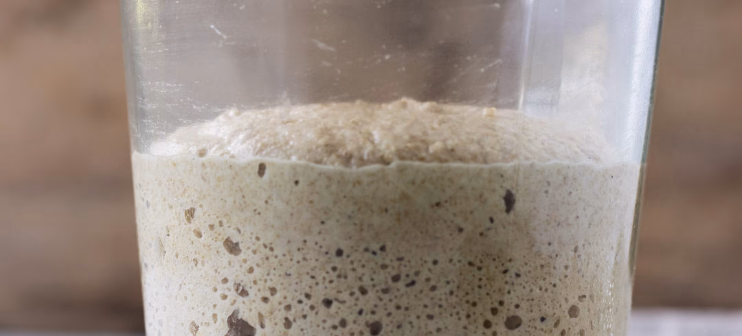 Hvad kan jeg lave med min surdej?