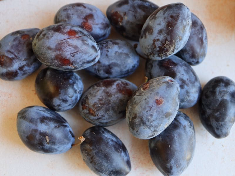 Kan man fryse sveskeblommer?