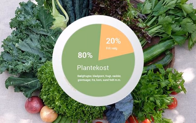 Hvad er syrebase kost?