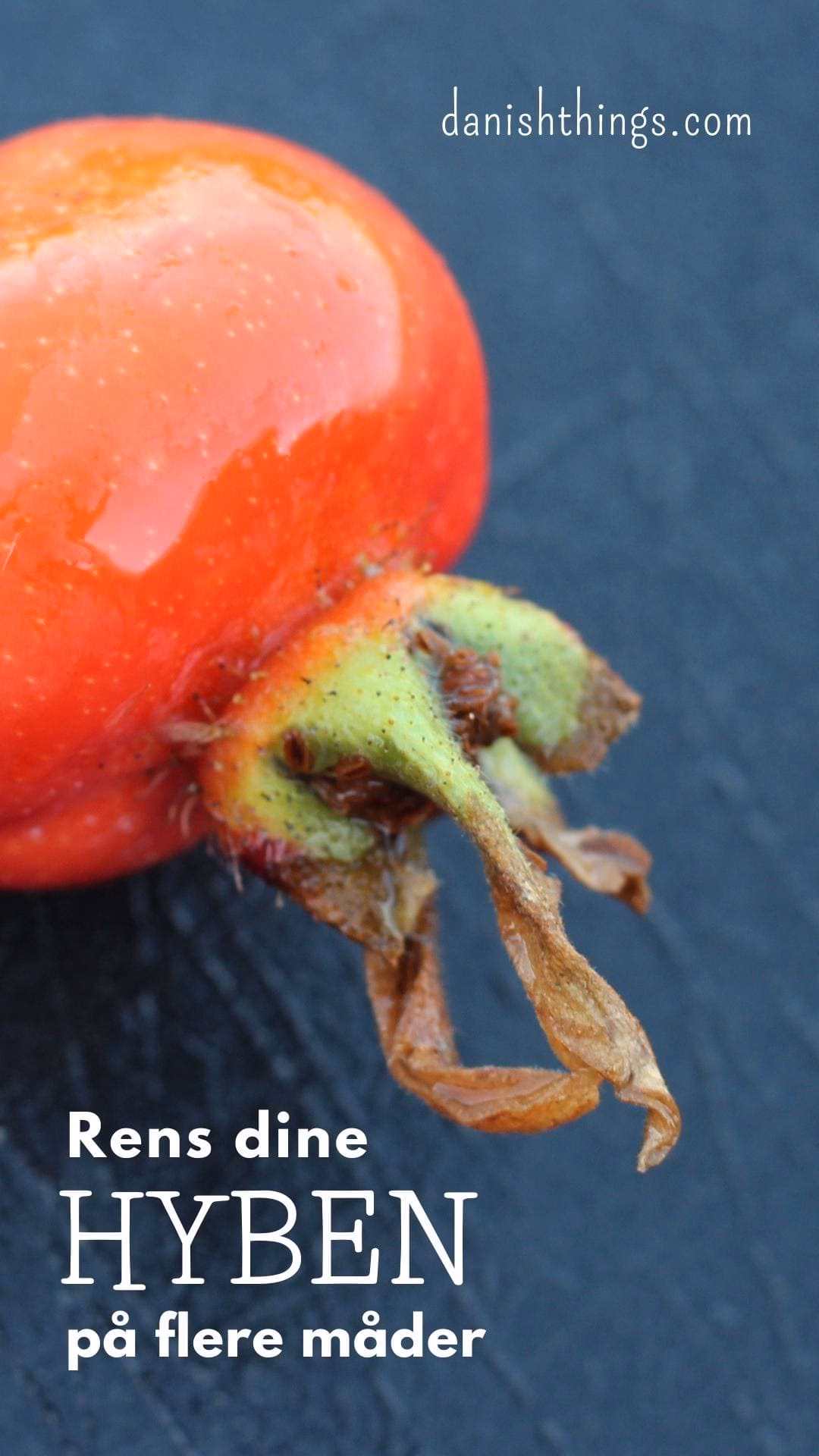 Hvordan tørrer jeg hyben?