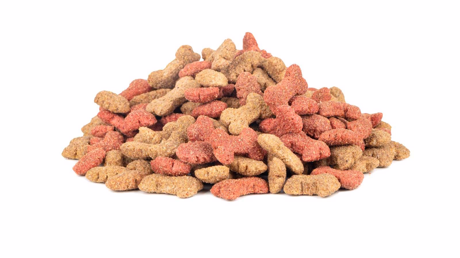 Hvor meget lever må en hund få?