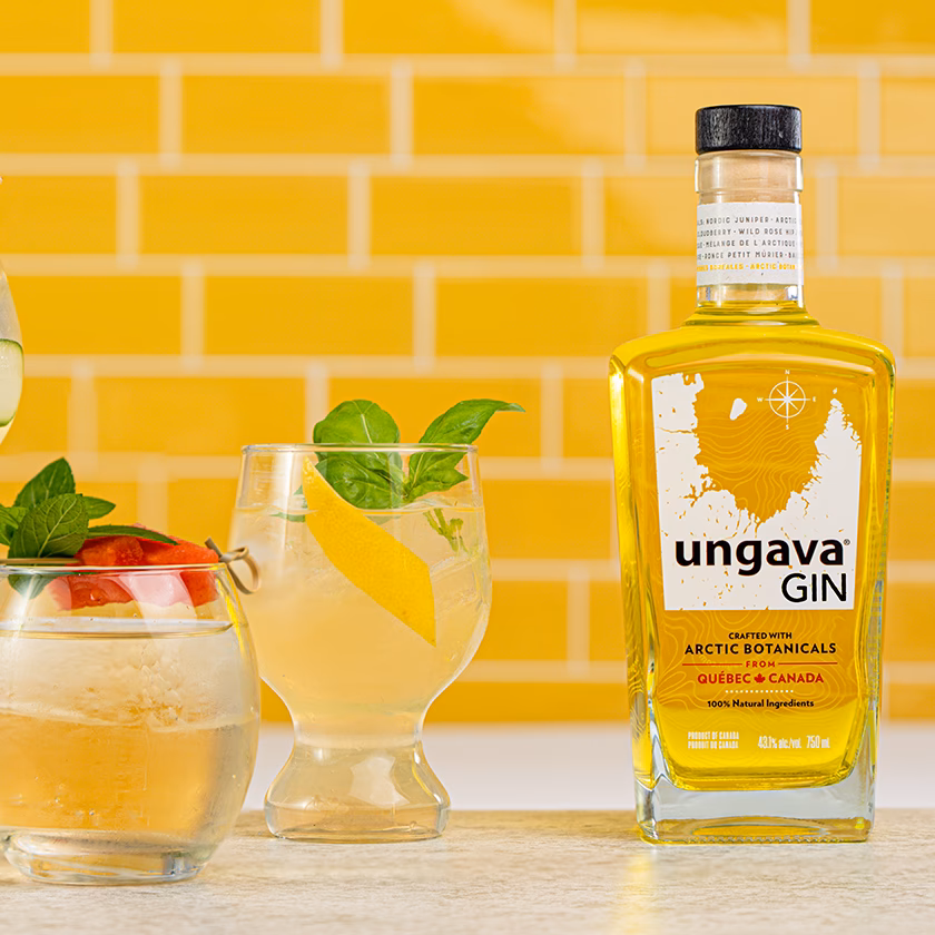 Hvad skal gin indeholde?