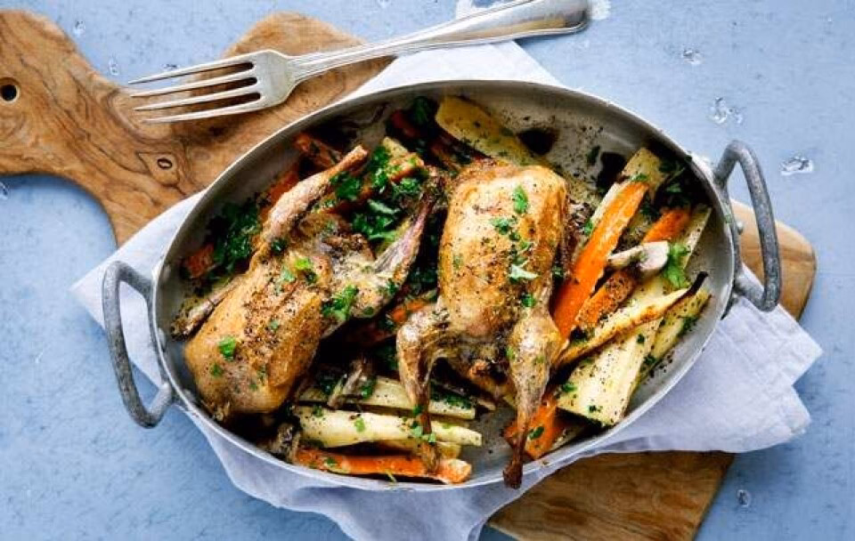 Hvordan smager vagtler?