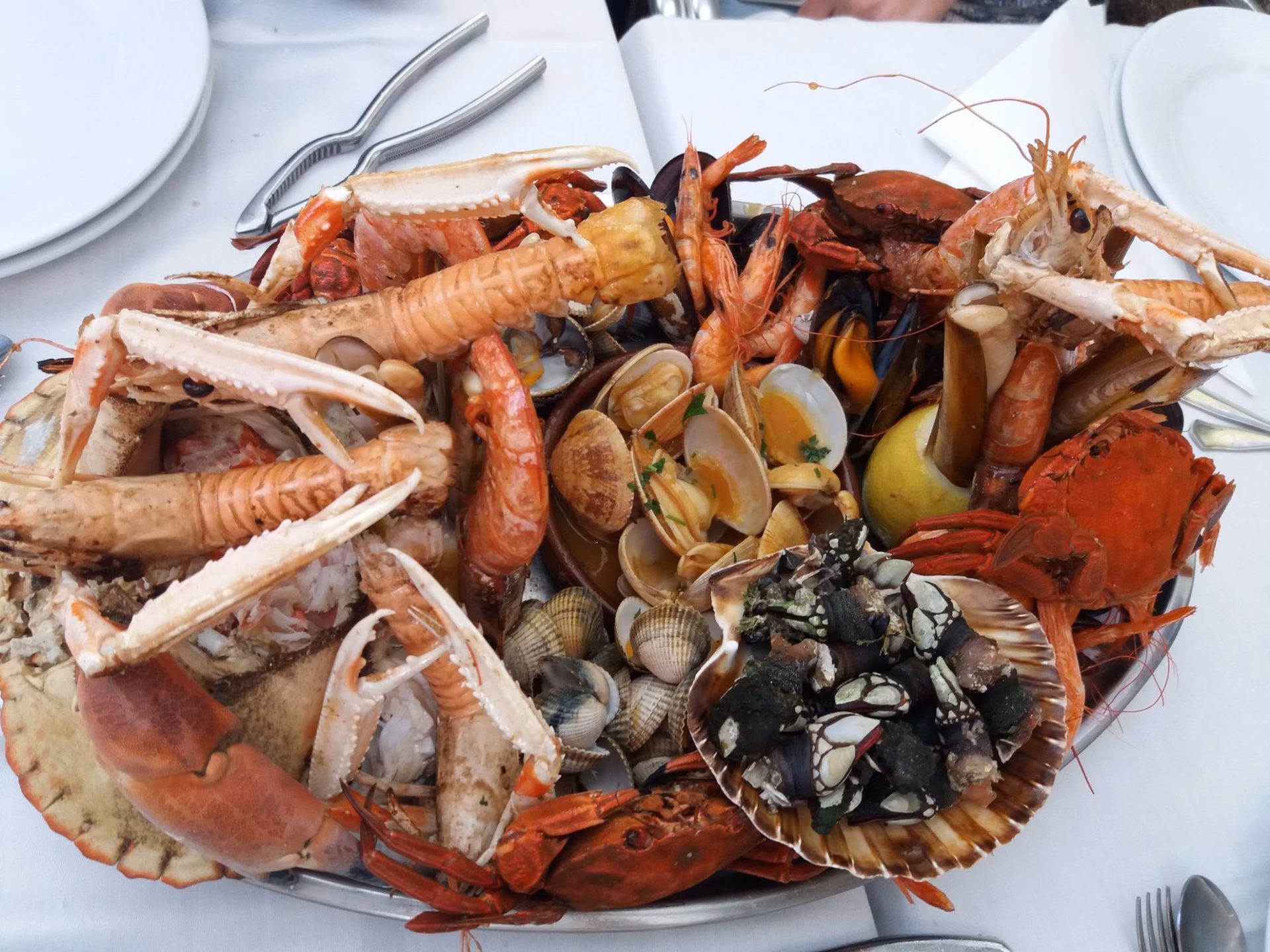 Hvor gammel skal man være for at køre Vigo?