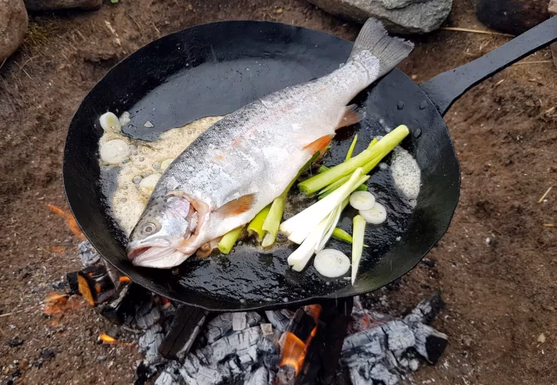 Hvad spisede man i vikingetiden?