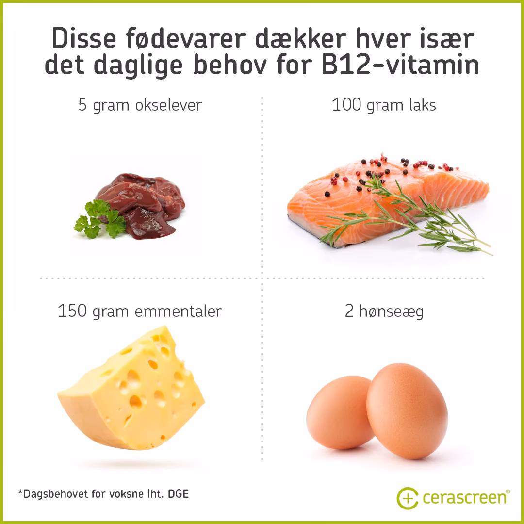 Hvorfor skal vitaminer tages med et måltid?