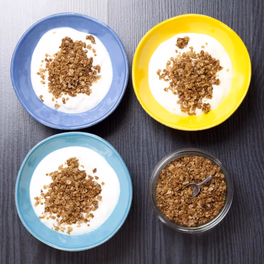 Hvad er forskellen mellem ymer og yoghurt?